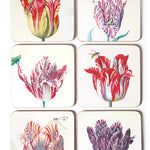 Onderzetters - Tulips, Marrel