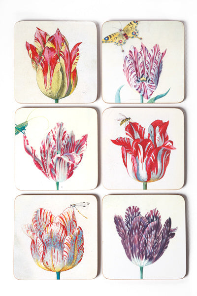 Onderzetters - Tulips, Marrel